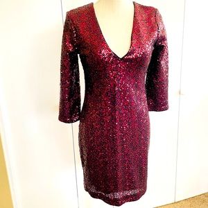 Burgundy Sequin Dress-Express